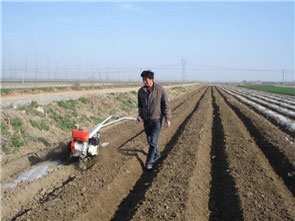 開溝起壟田園機
